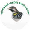 botswana guides association